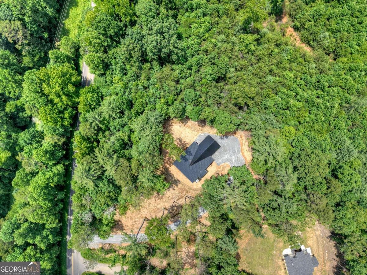 2461 Salem Road Mineral Bluff - 18