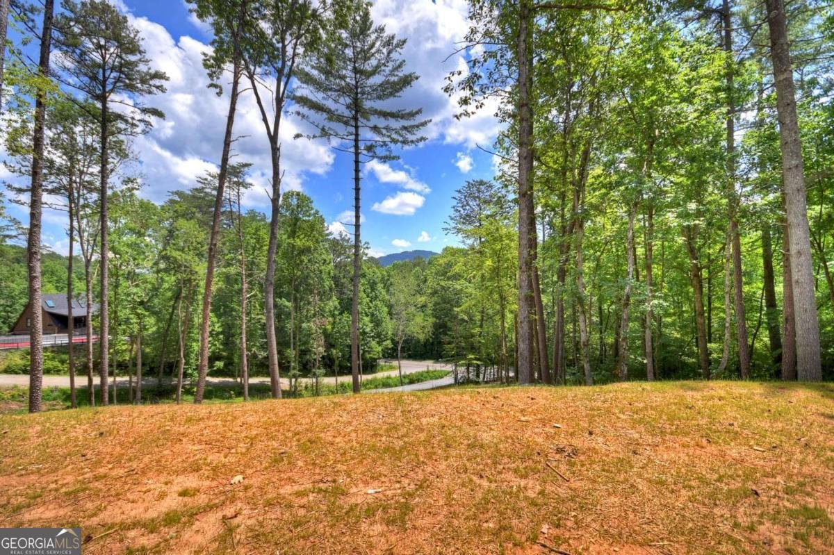 2461 Salem Road Mineral Bluff - 26