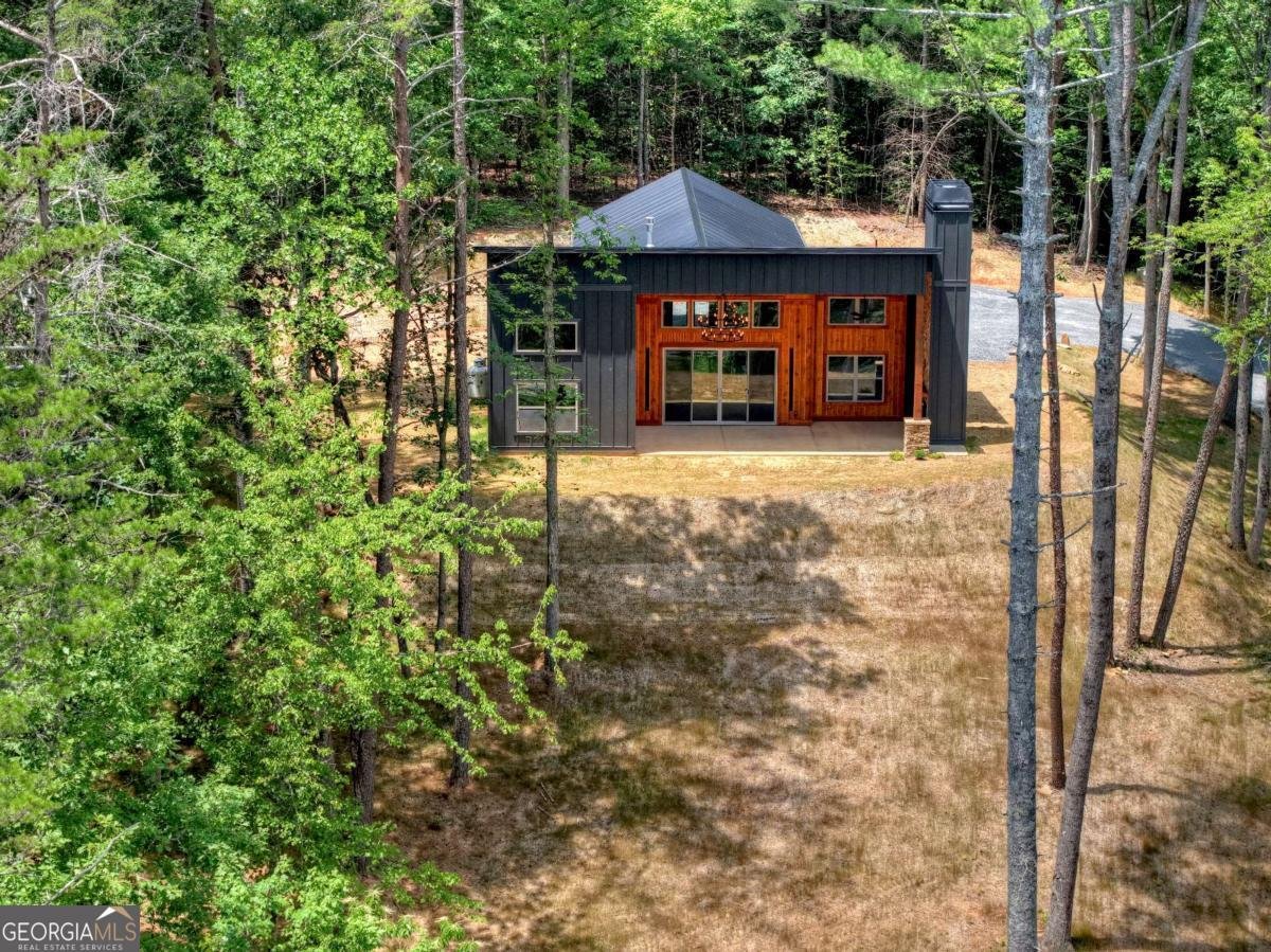 2461 Salem Road Mineral Bluff - 30