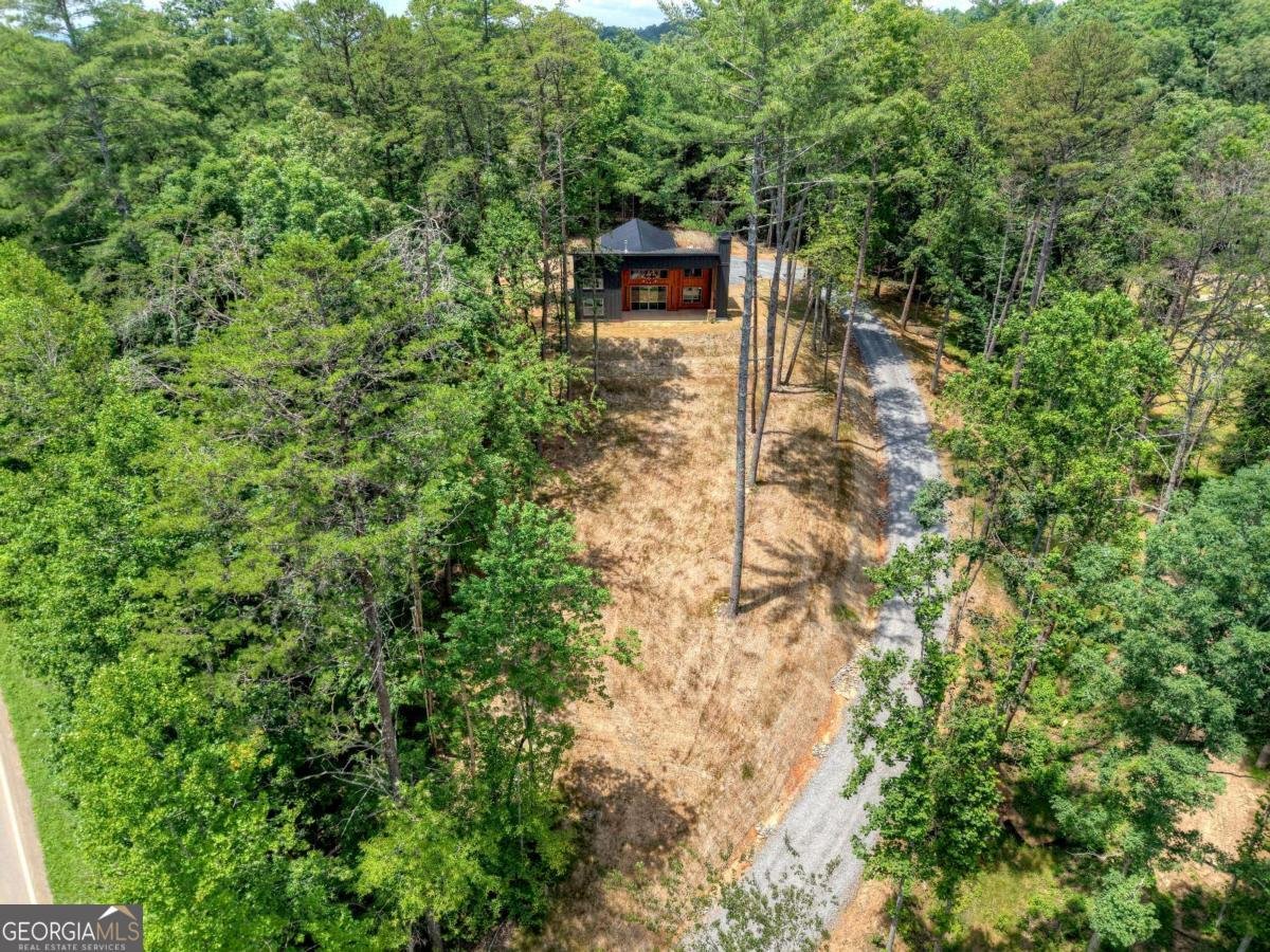 2461 Salem Road Mineral Bluff - 31