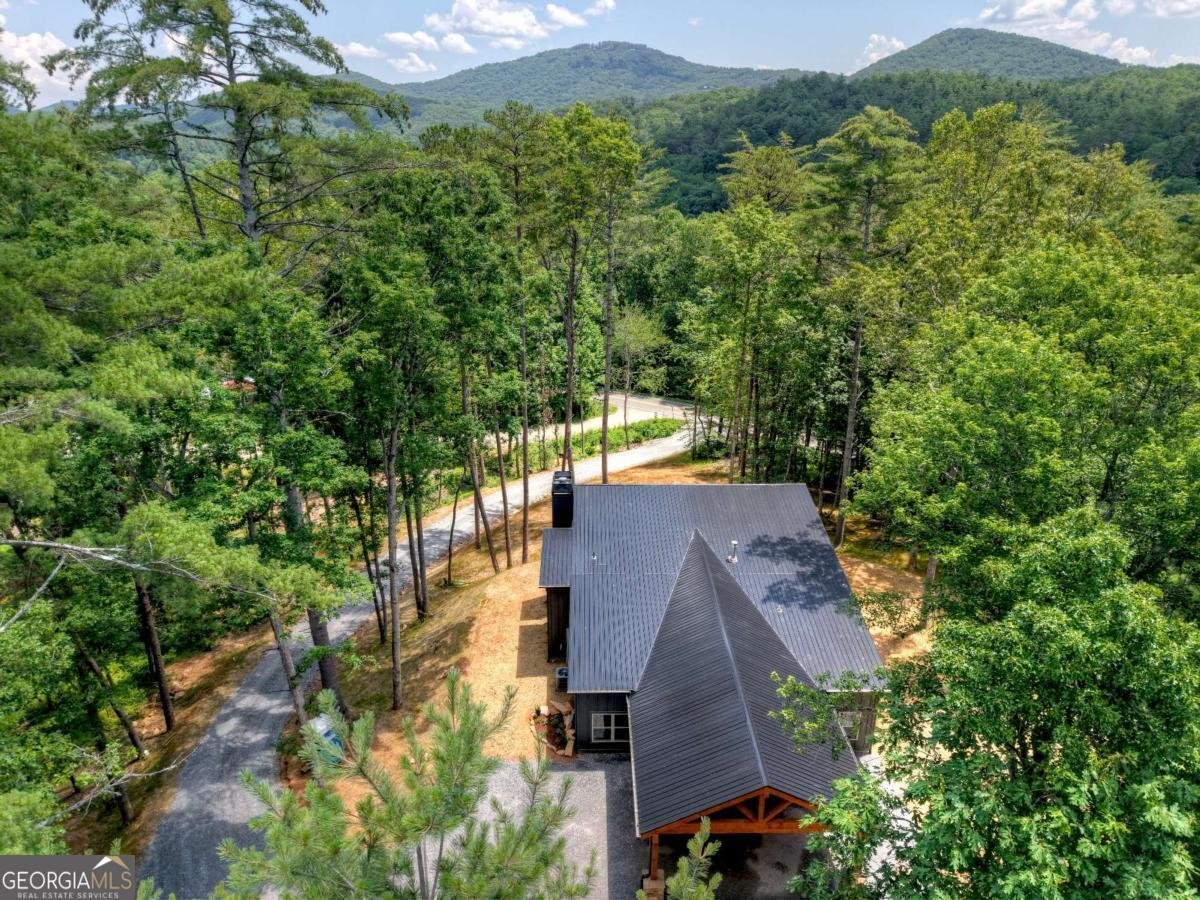 2461 Salem Road Mineral Bluff - 32