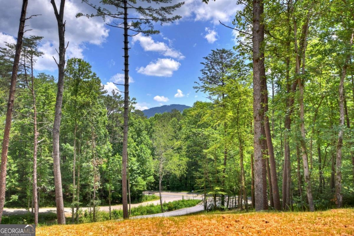 2461 Salem Road Mineral Bluff - 68