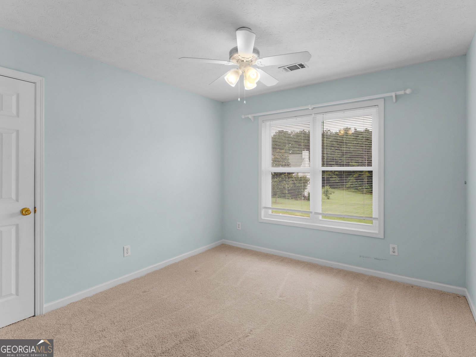 794 Daileys Creek Drive McDonough - 19