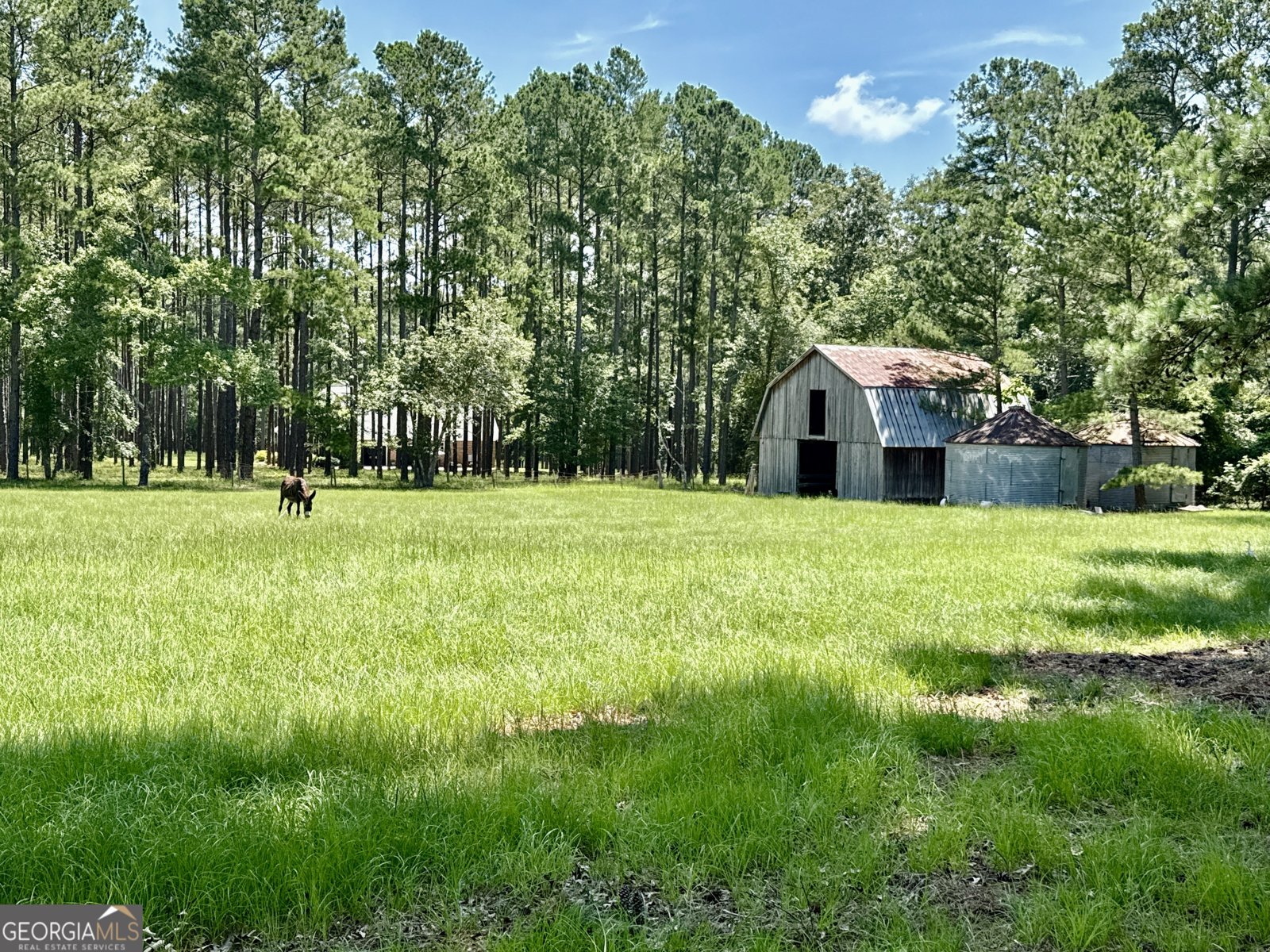 3978 WC Hodges Road Statesboro - 6