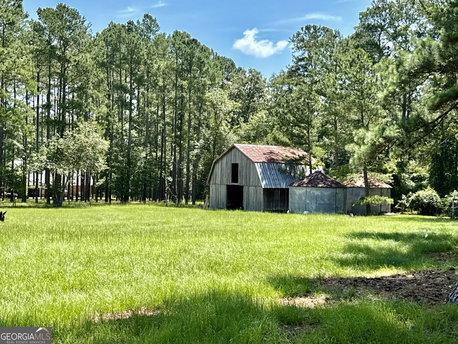 3978 WC Hodges Road Statesboro - 7