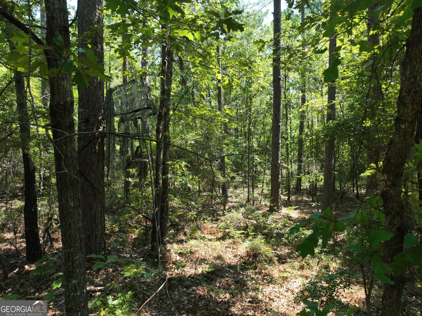 3978 WC Hodges Road Statesboro - 70