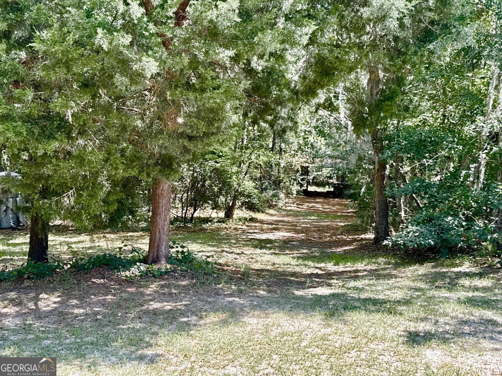 3978 WC Hodges Road Statesboro - 74