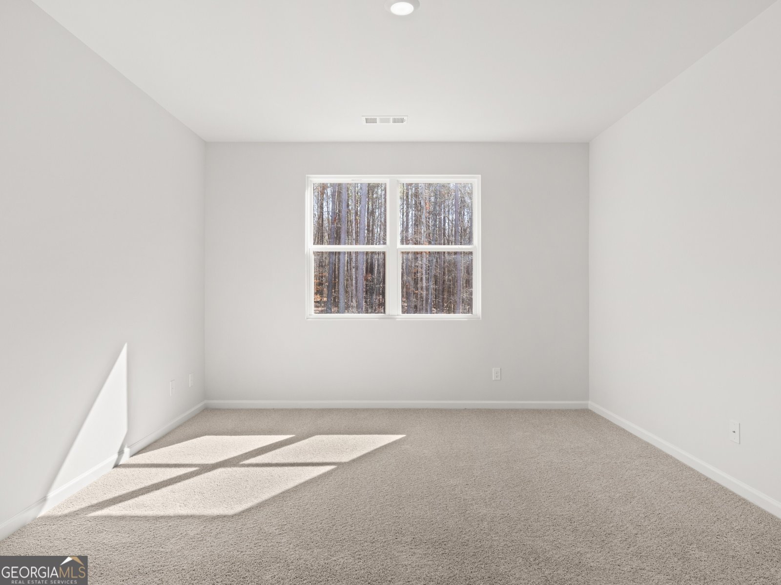 2717 Montie Court Lithia Springs - 12