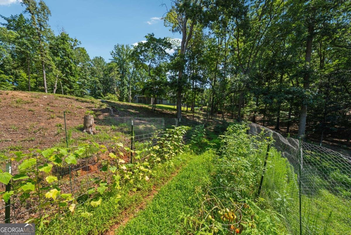 3394 Robinson Road Gainesville - 1