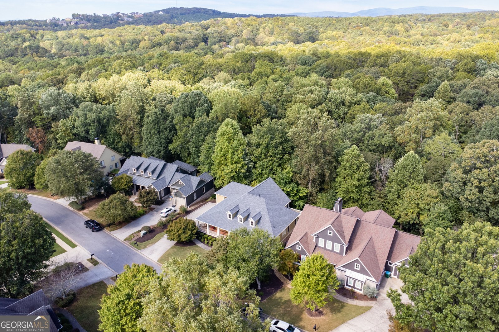 216 Crescent Moon Way Canton - 38
