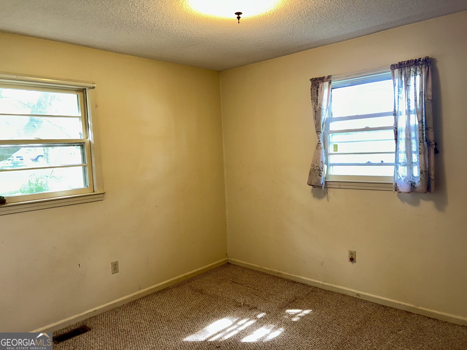 1723 Thirteen Forks Road Dewy Rose - 13