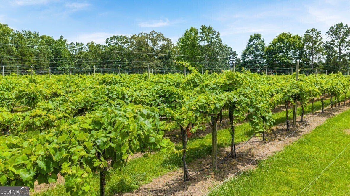 109 Crooked Lake Park Villa Rica - 55