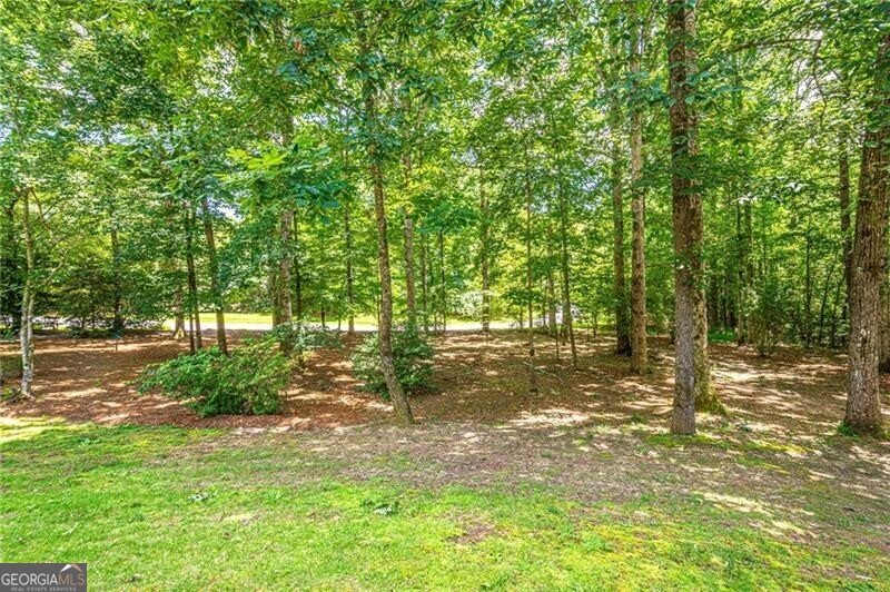 6369 Timber Creek Trail Dahlonega - 27