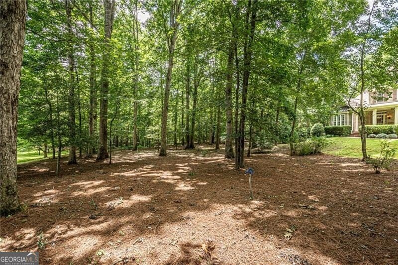 6369 Timber Creek Trail Dahlonega - 55