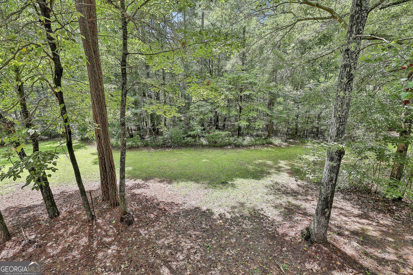 70 Teal Court Senoia - 31