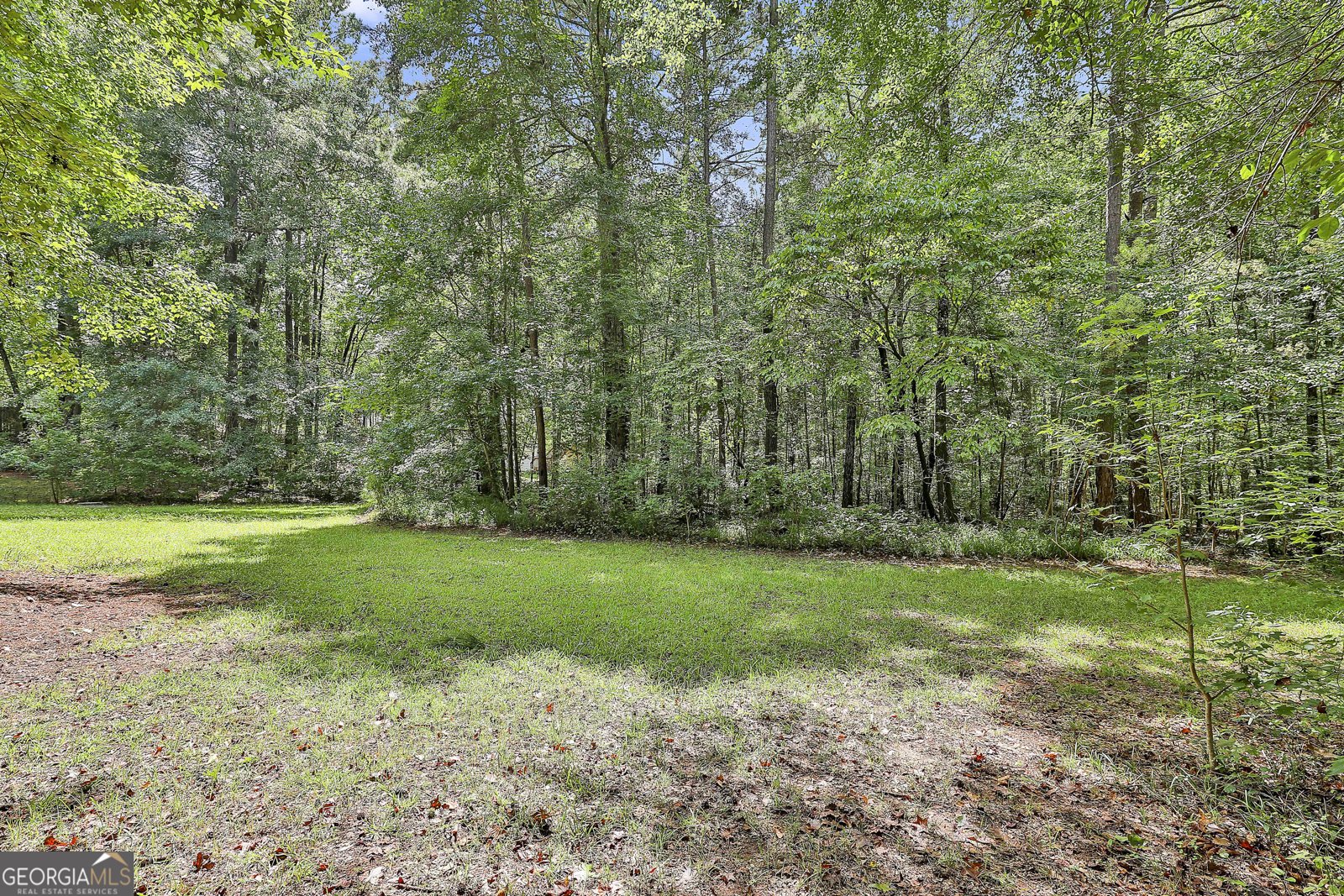 70 Teal Court Senoia - 37