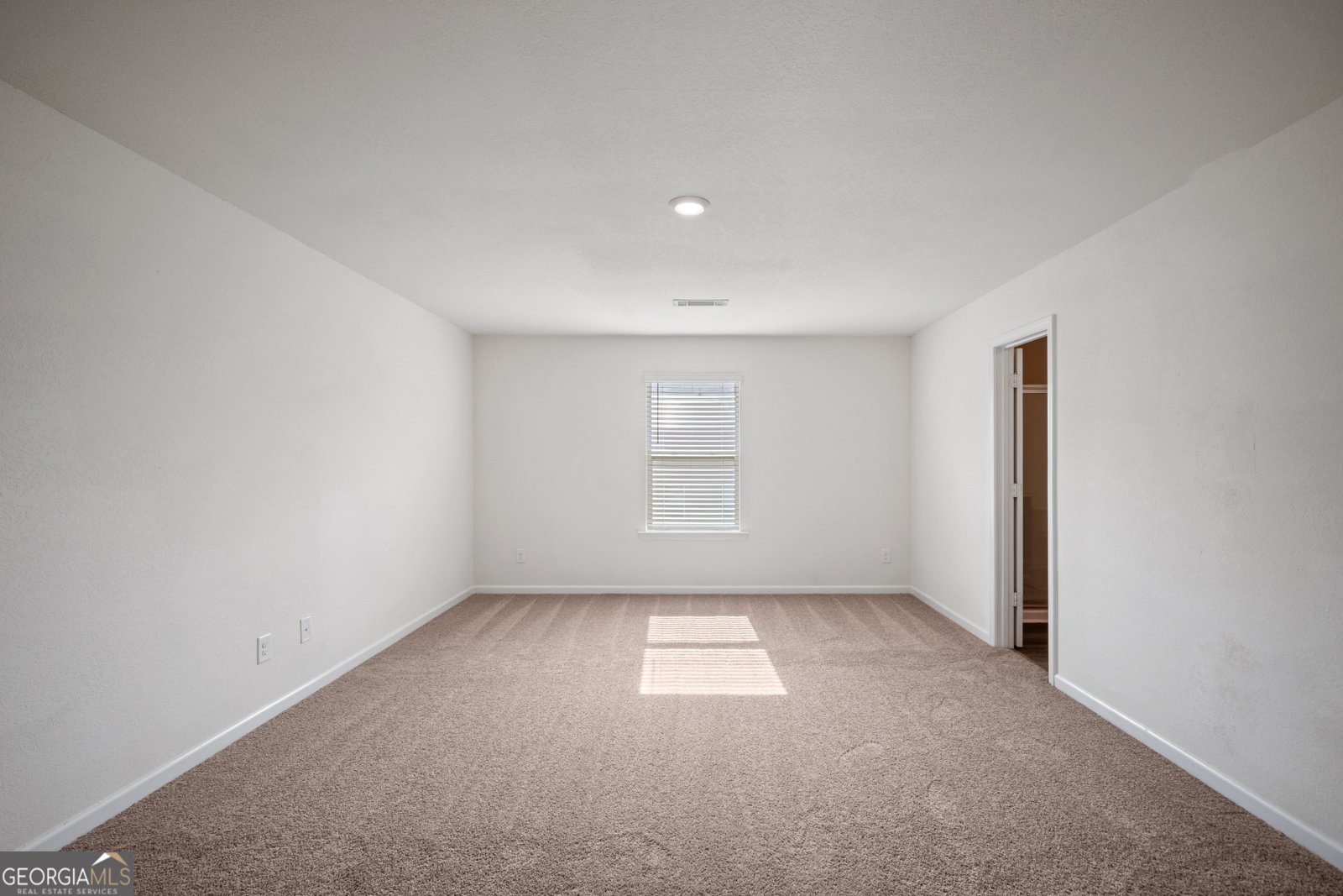 521 Moline Way Locust Grove - 6