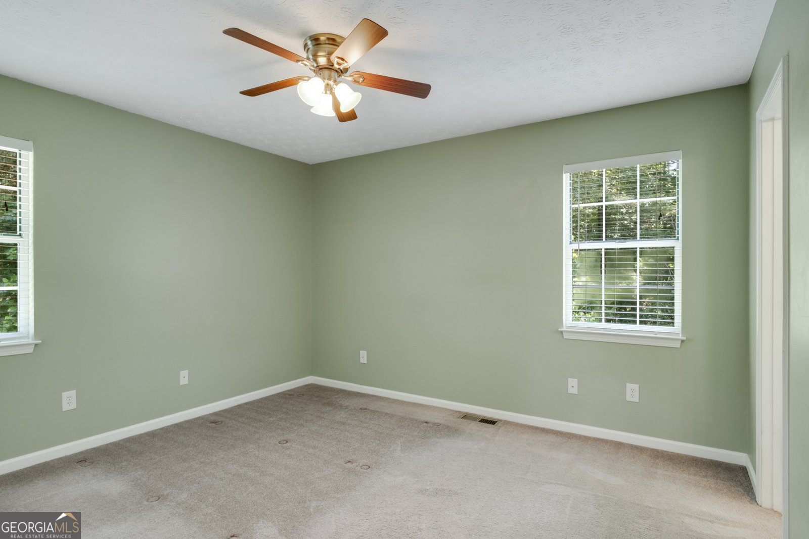 75 Tipperary Trail Sharpsburg - 15