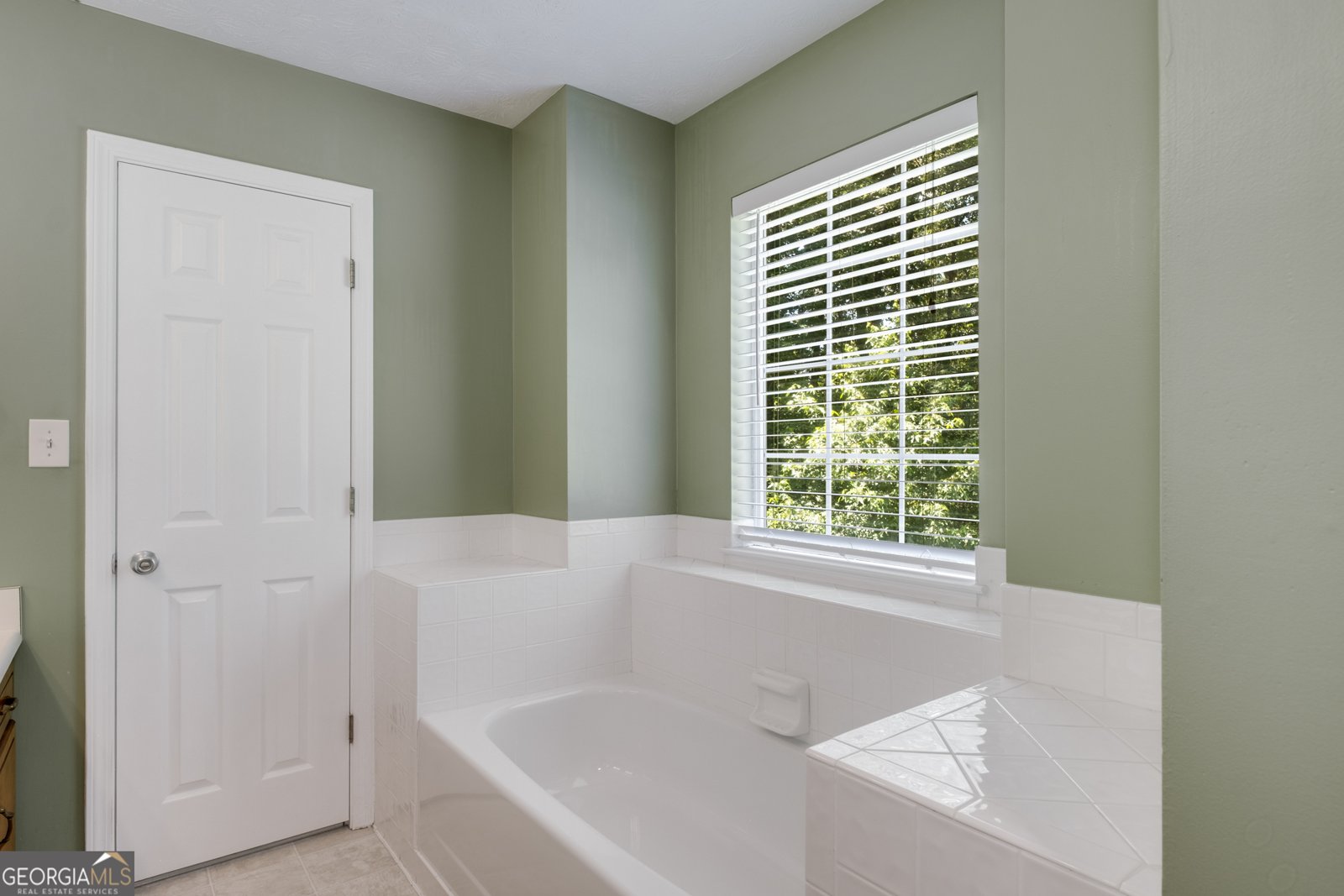 75 Tipperary Trail Sharpsburg - 19