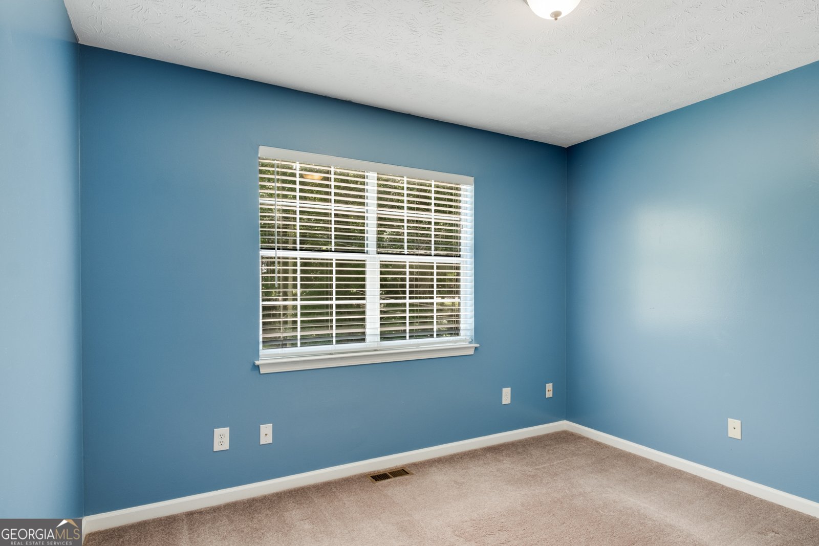 75 Tipperary Trail Sharpsburg - 22