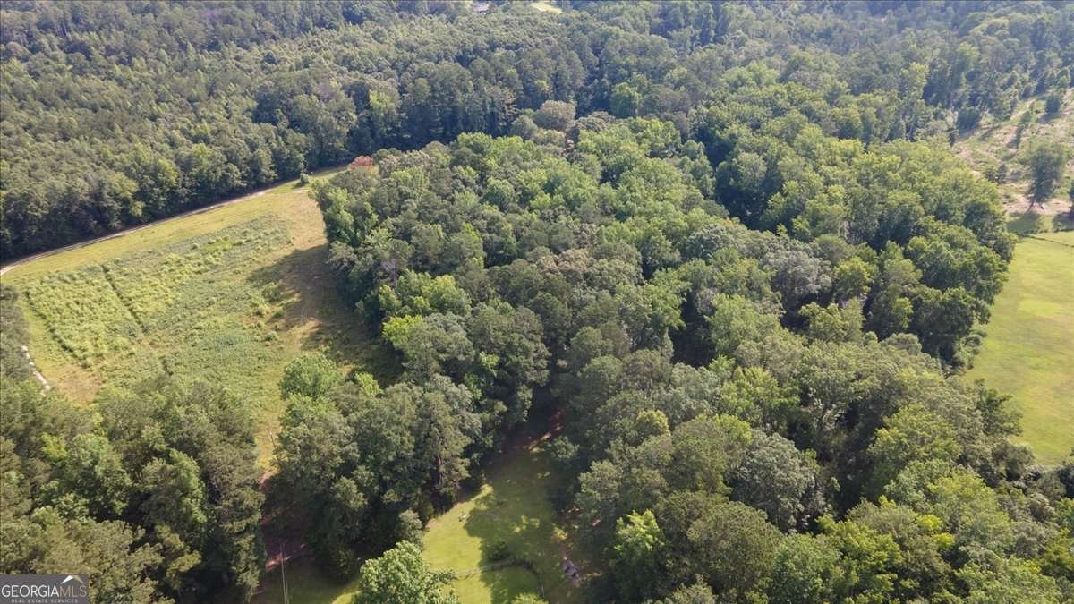 1205 Humphries Road Conyers - 37