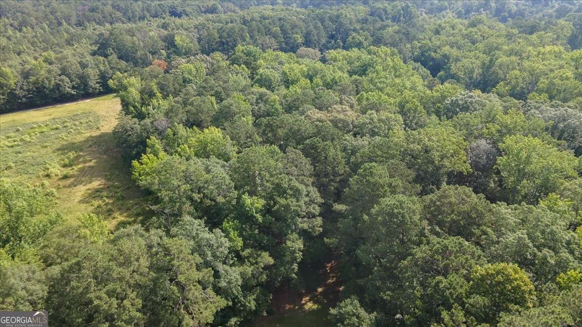 1205 Humphries Road Conyers - 49