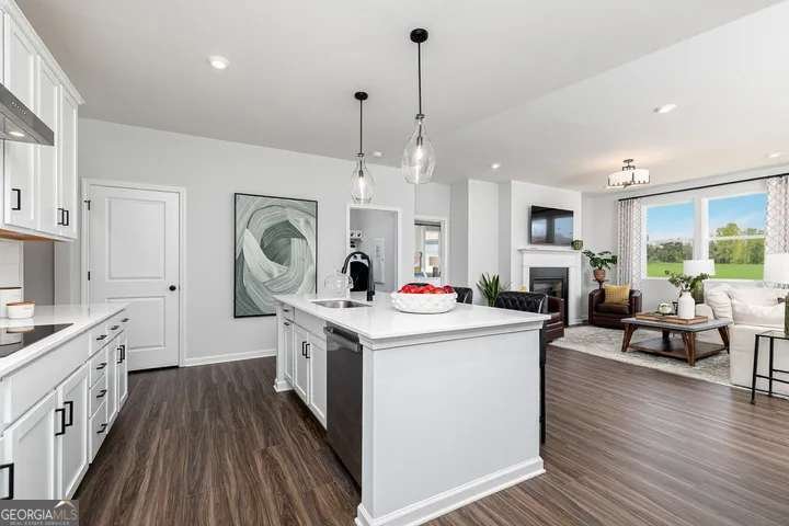 128 Chatahooche Circle Locust Grove - 7
