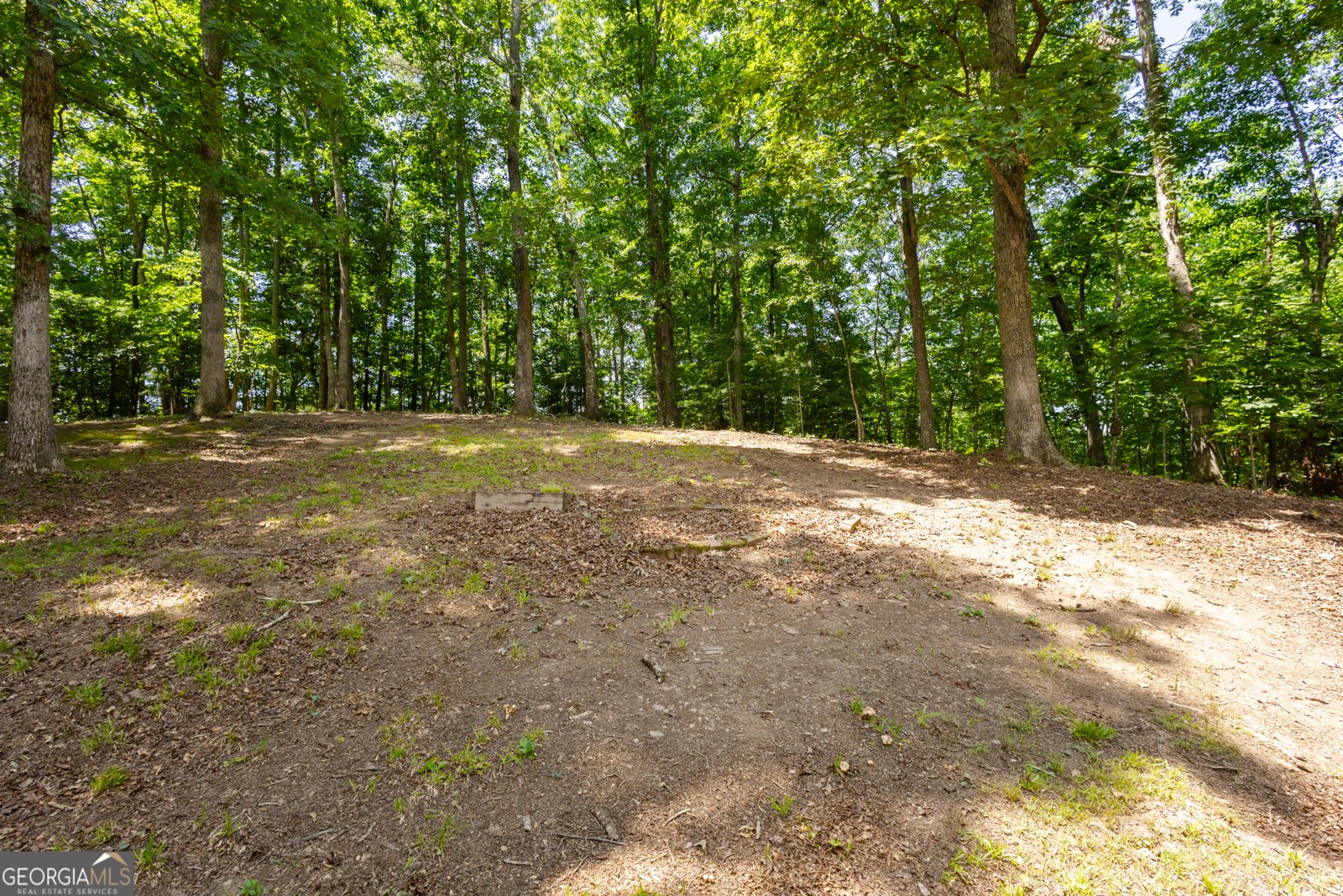 14 Summit Road Blairsville - 66