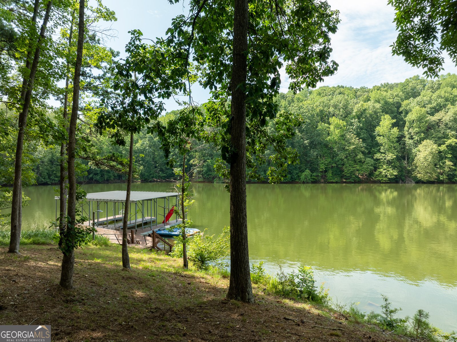 452 Brookwood Drive Dawsonville - 3