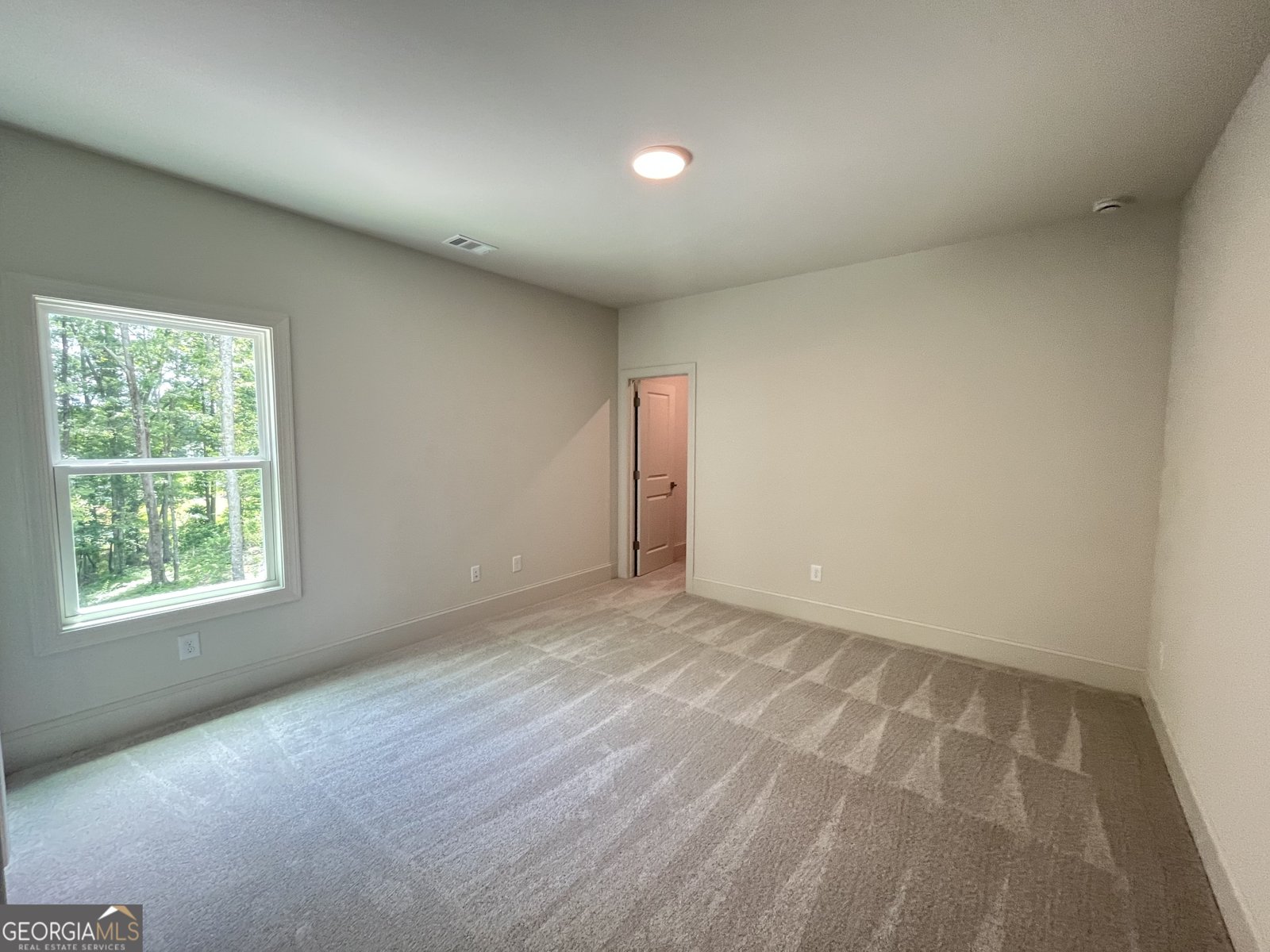 1025 Liberty Springs Drive Woodstock - 29