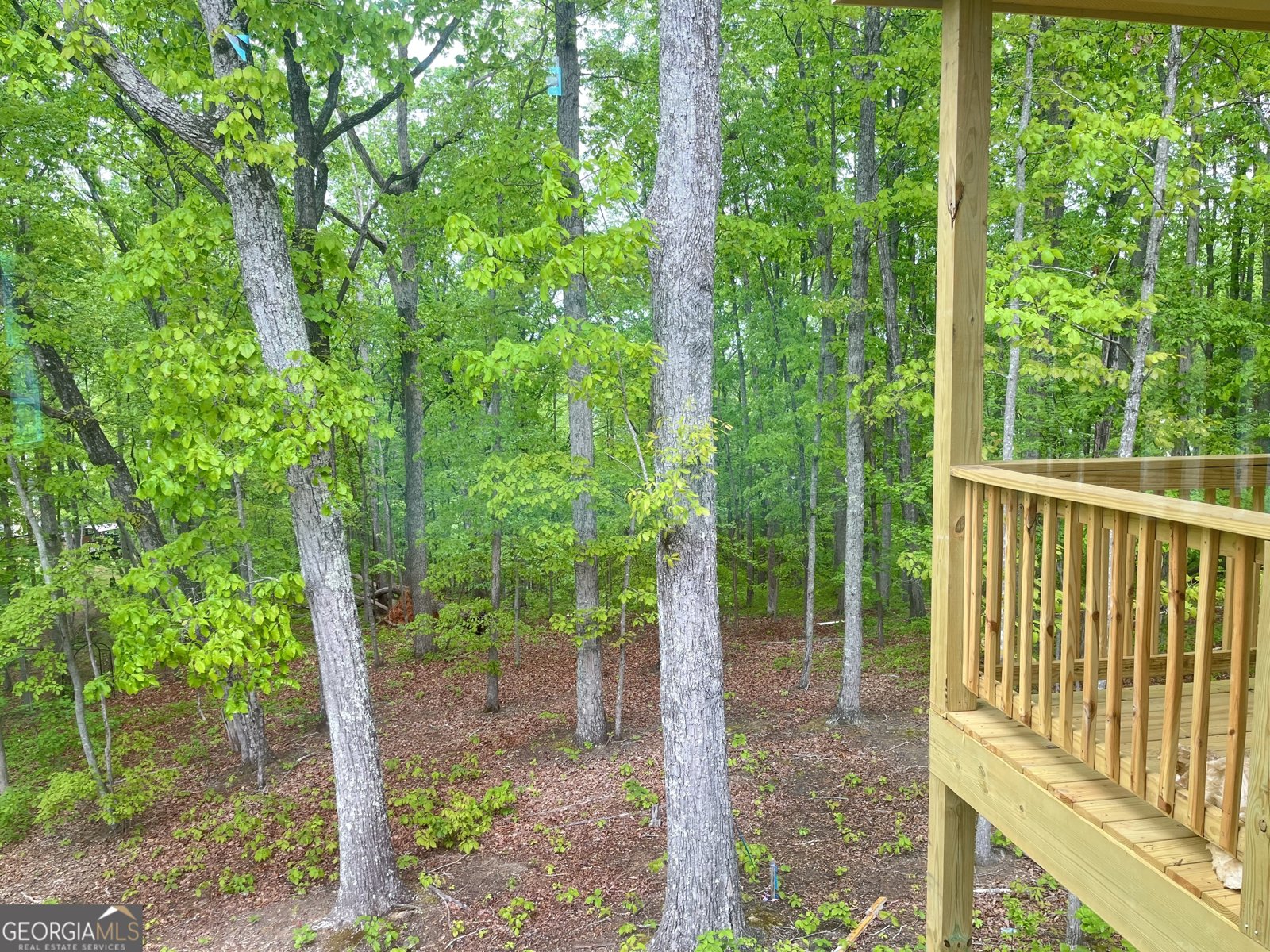 1025 Liberty Springs Drive Woodstock - 3