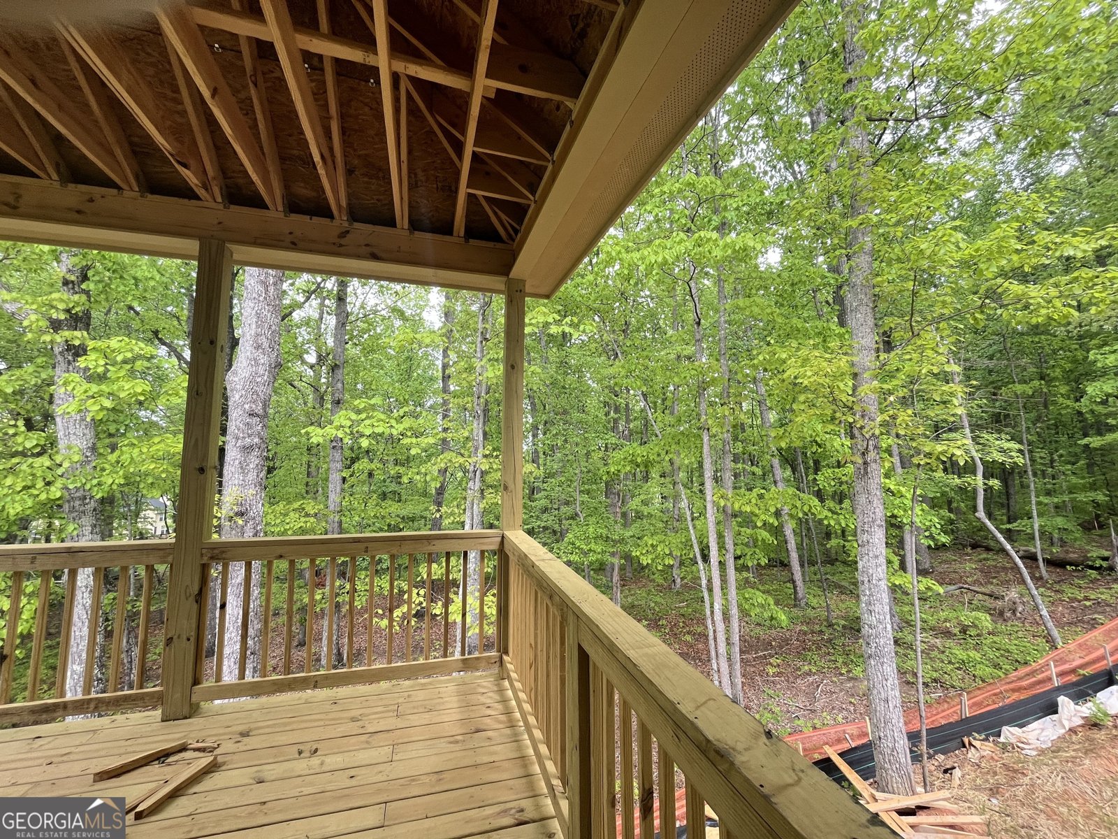 1025 Liberty Springs Drive Woodstock - 4