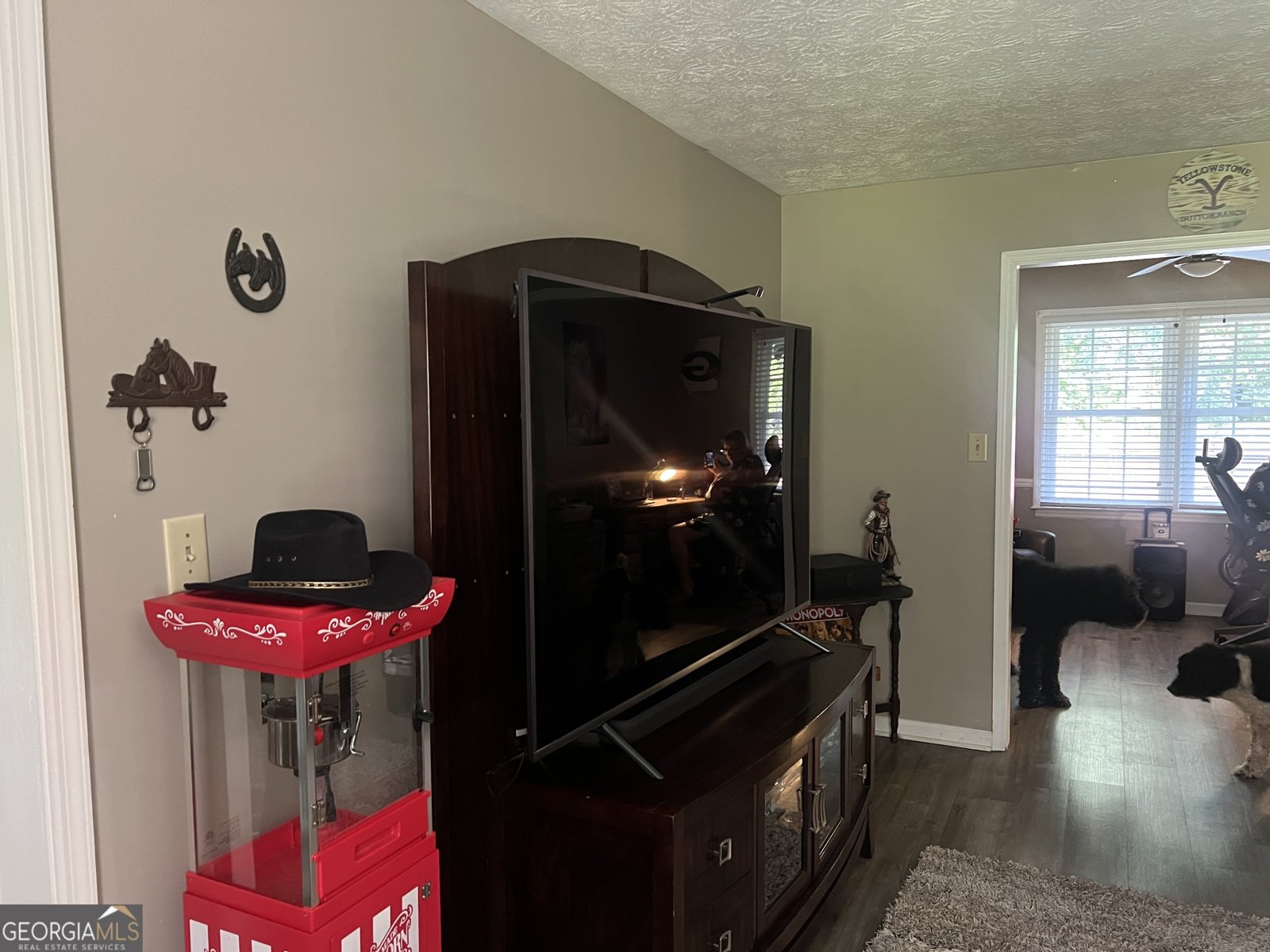 2203 Honeybee Creek Drive Griffin - 18