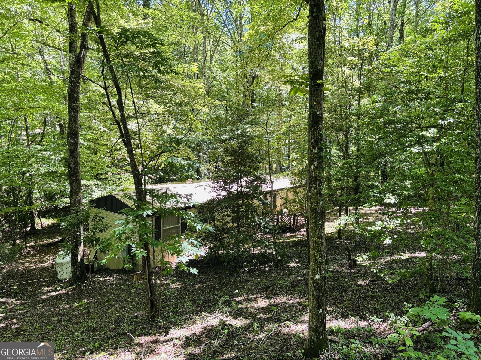 4430 White Oak Drive Hiawassee - 1