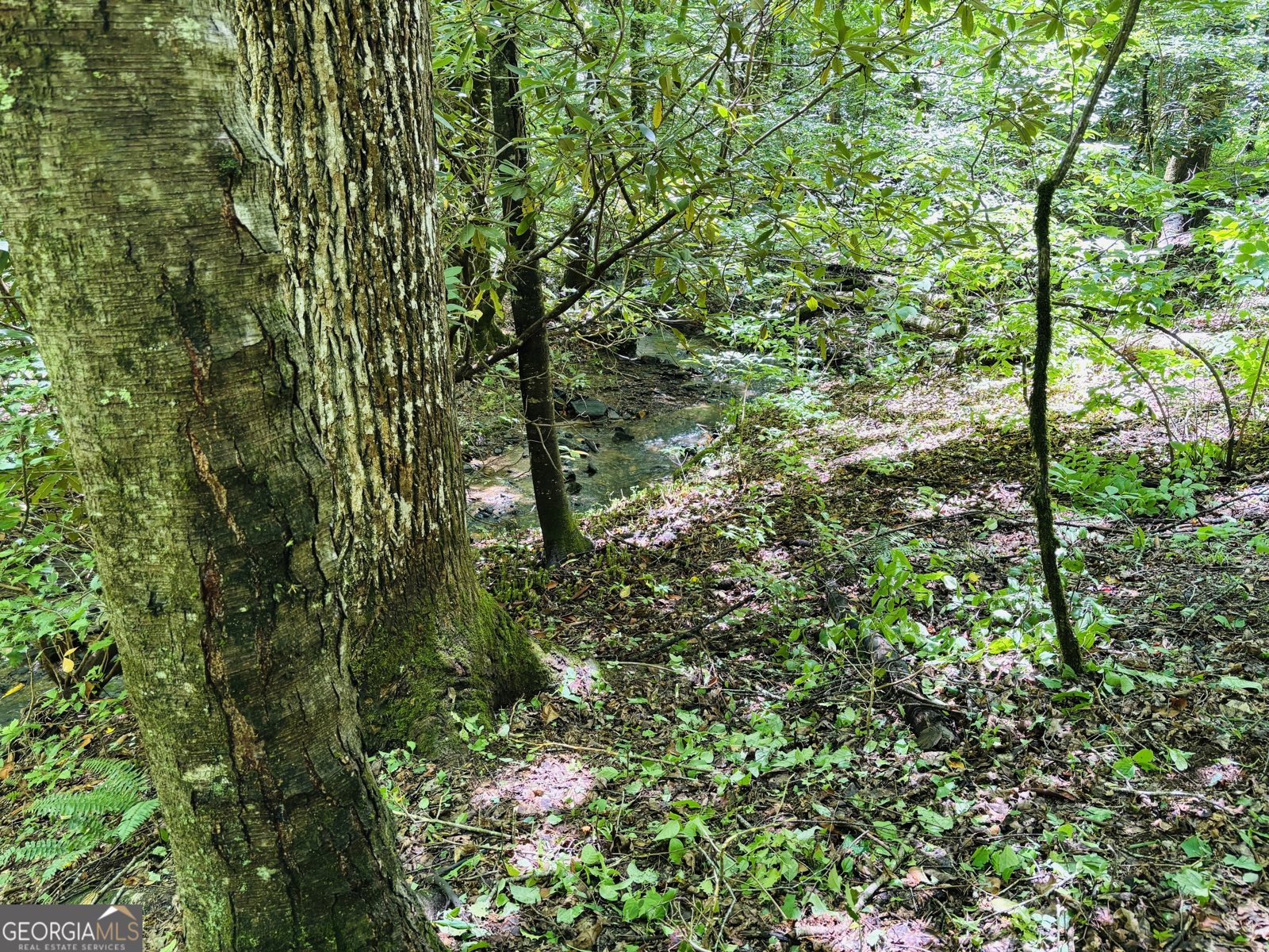 4430 White Oak Drive Hiawassee - 11