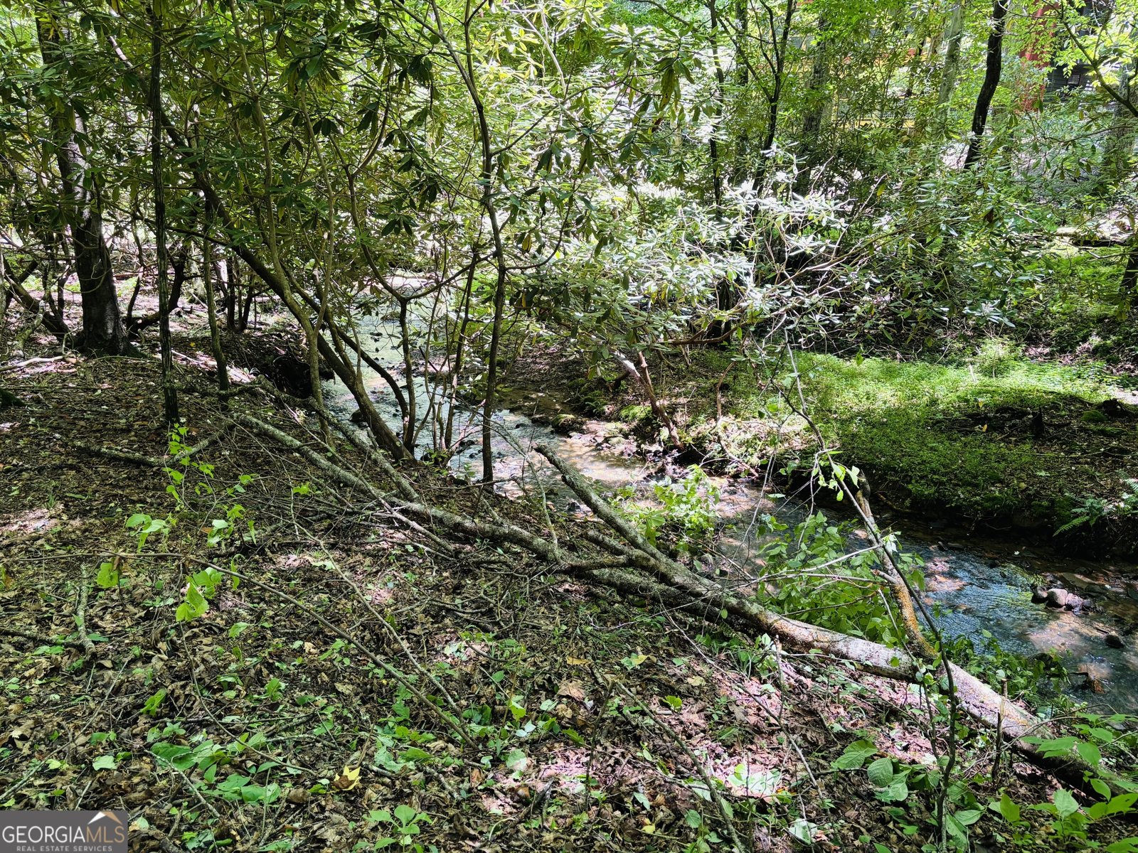 4430 White Oak Drive Hiawassee - 6