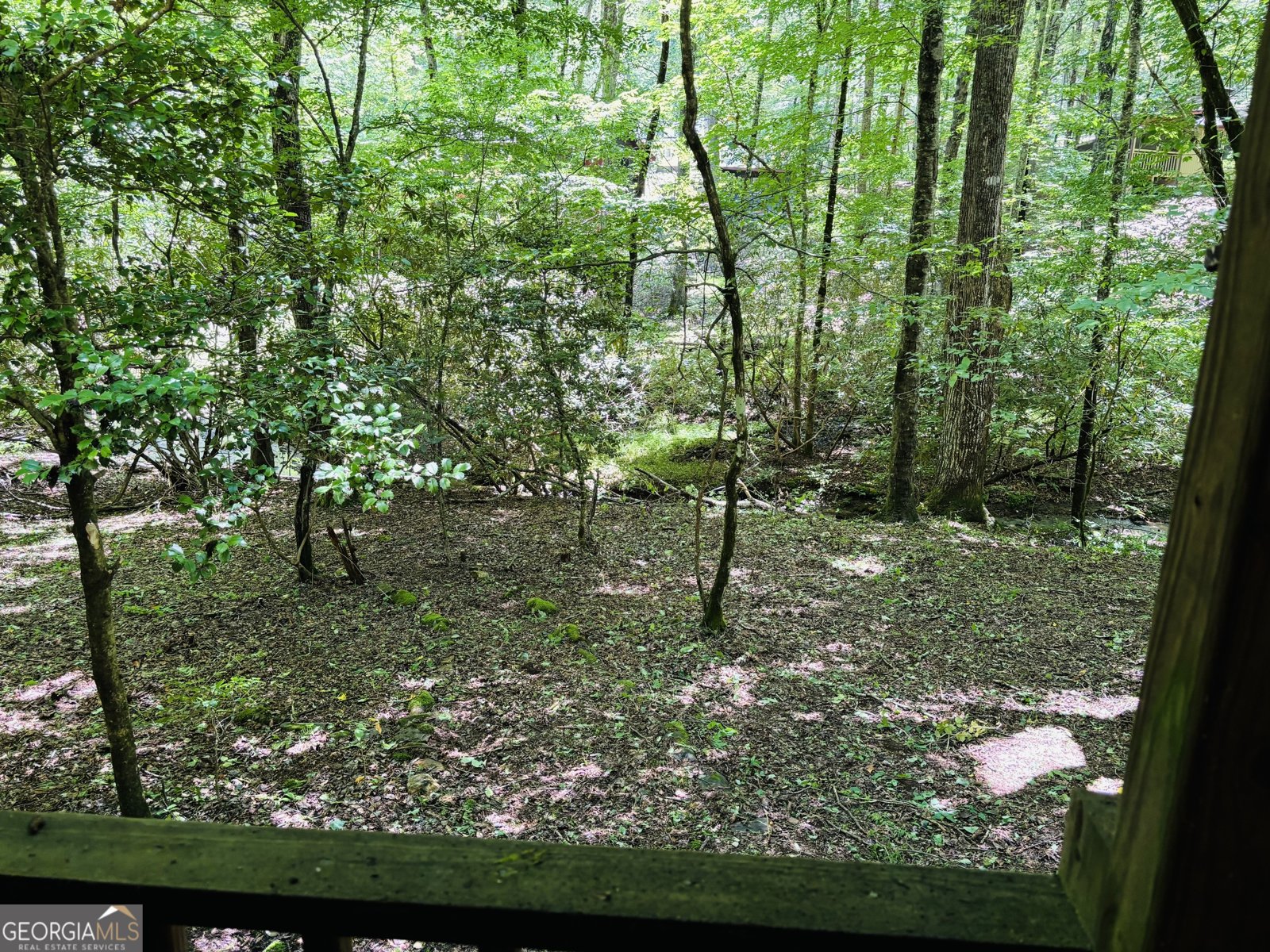 4430 White Oak Drive Hiawassee - 9