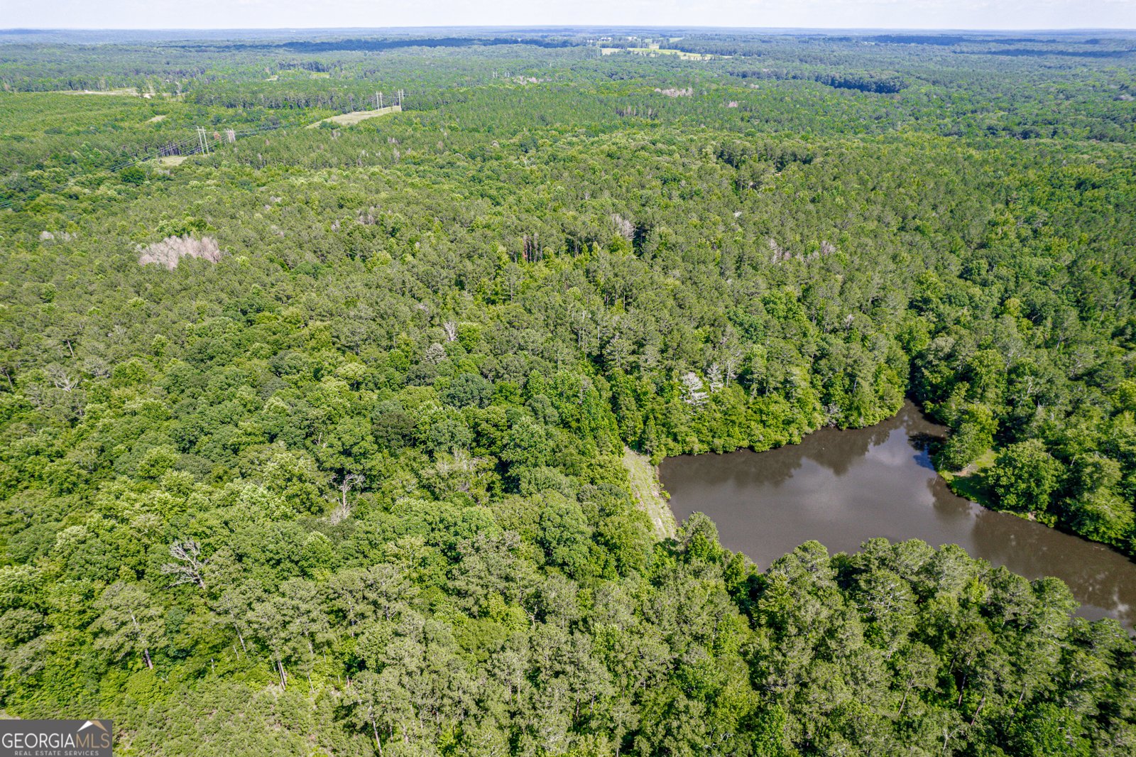 1041 River Farm Way Madison - 55