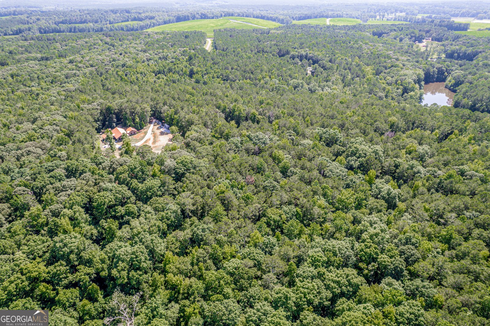 1041 River Farm Way Madison - 60