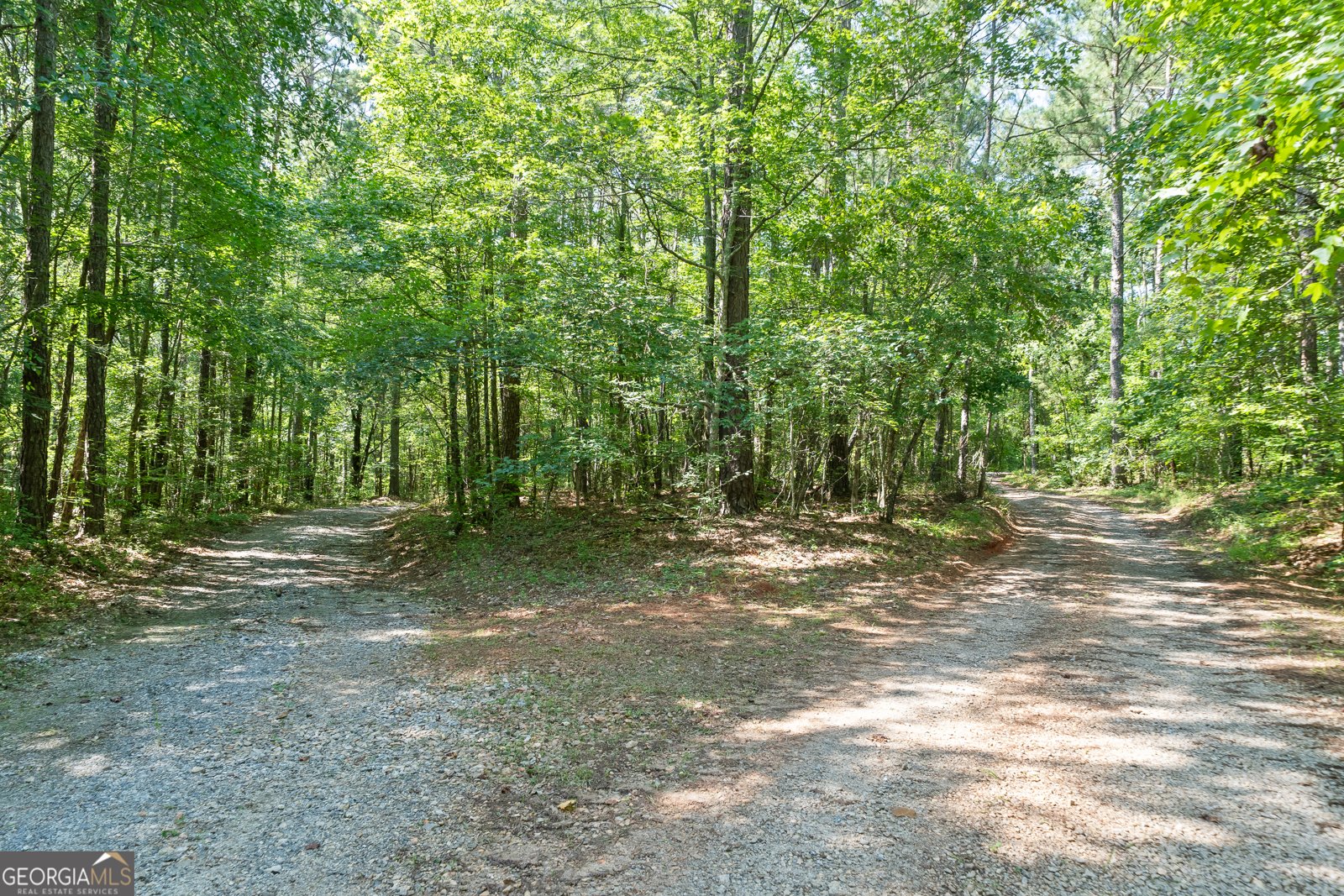 1041 River Farm Way Madison - 64