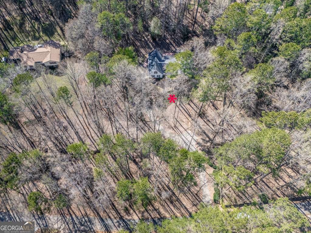5090 Eubanks Road Woodstock - 53