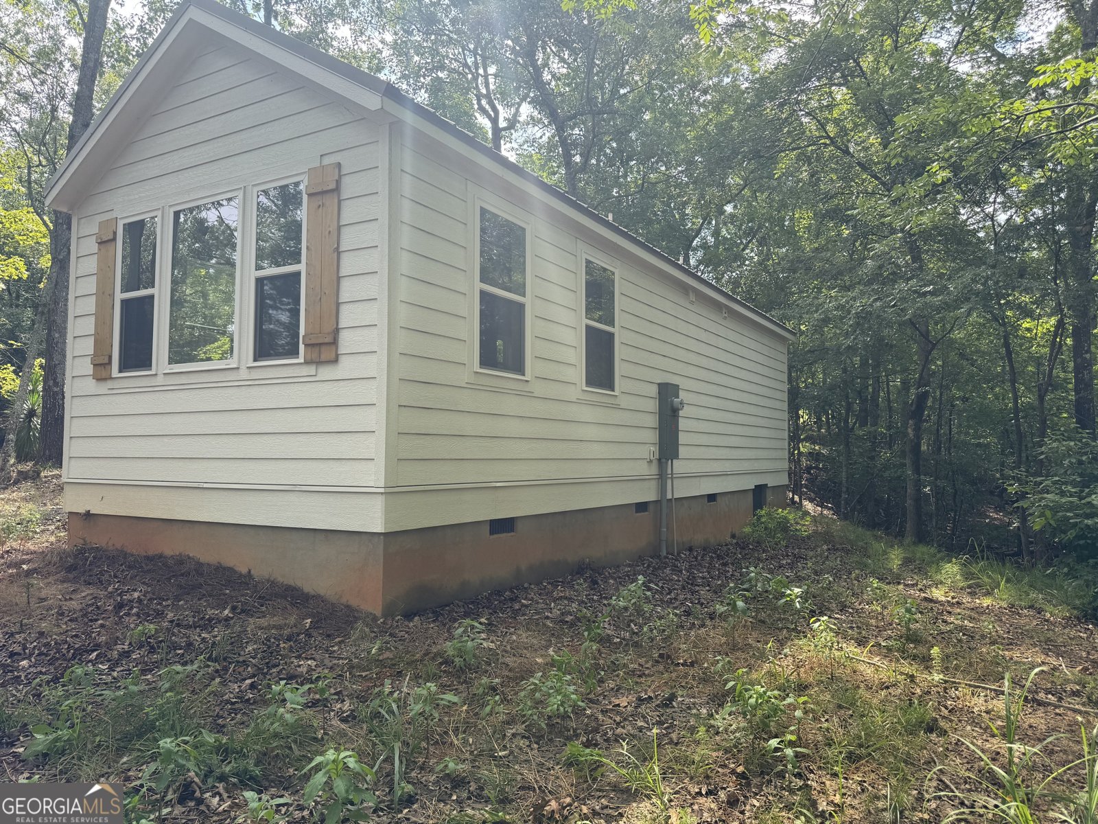 2852 Bramlett Drive Elberton - 4