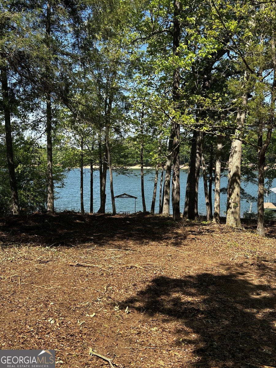 2375 Reed Creek Highway Hartwell - Photo 26