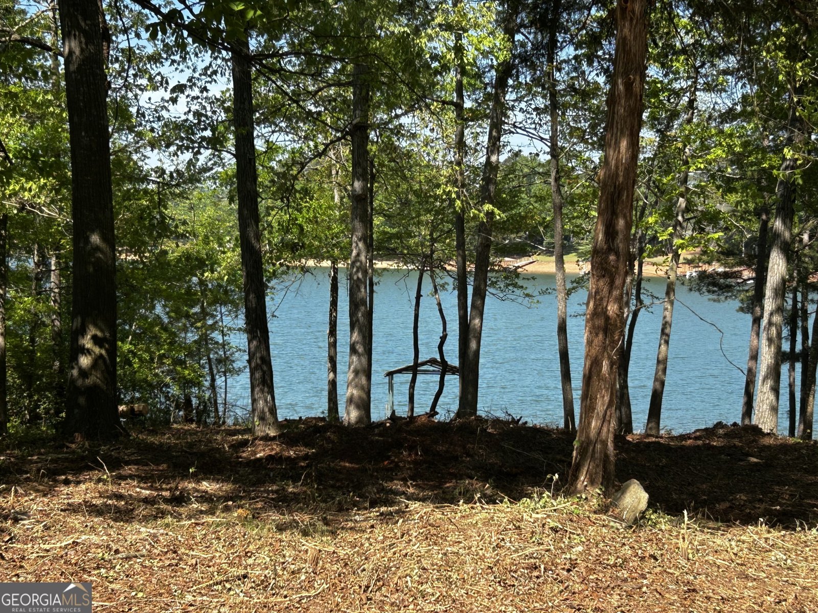 2375 Reed Creek Highway Hartwell - Photo 27