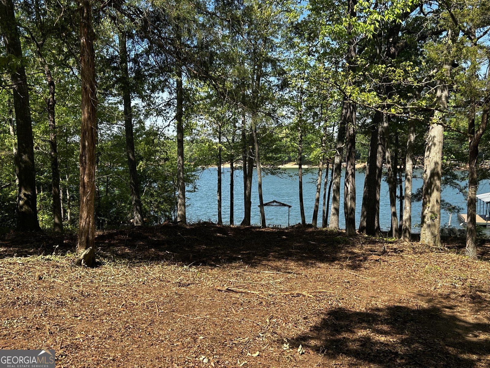 2375 Reed Creek Highway Hartwell - Photo 28