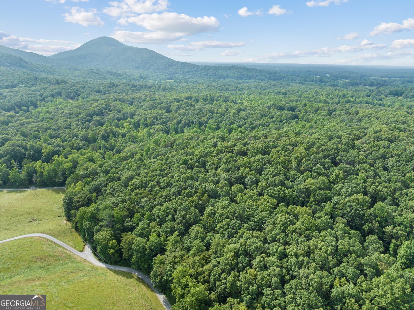 966 Wahoo Creek Road Murrayville - 4