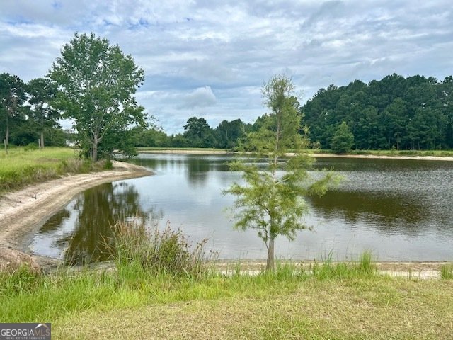 1302 Jim Sapp Road Claxton - 13