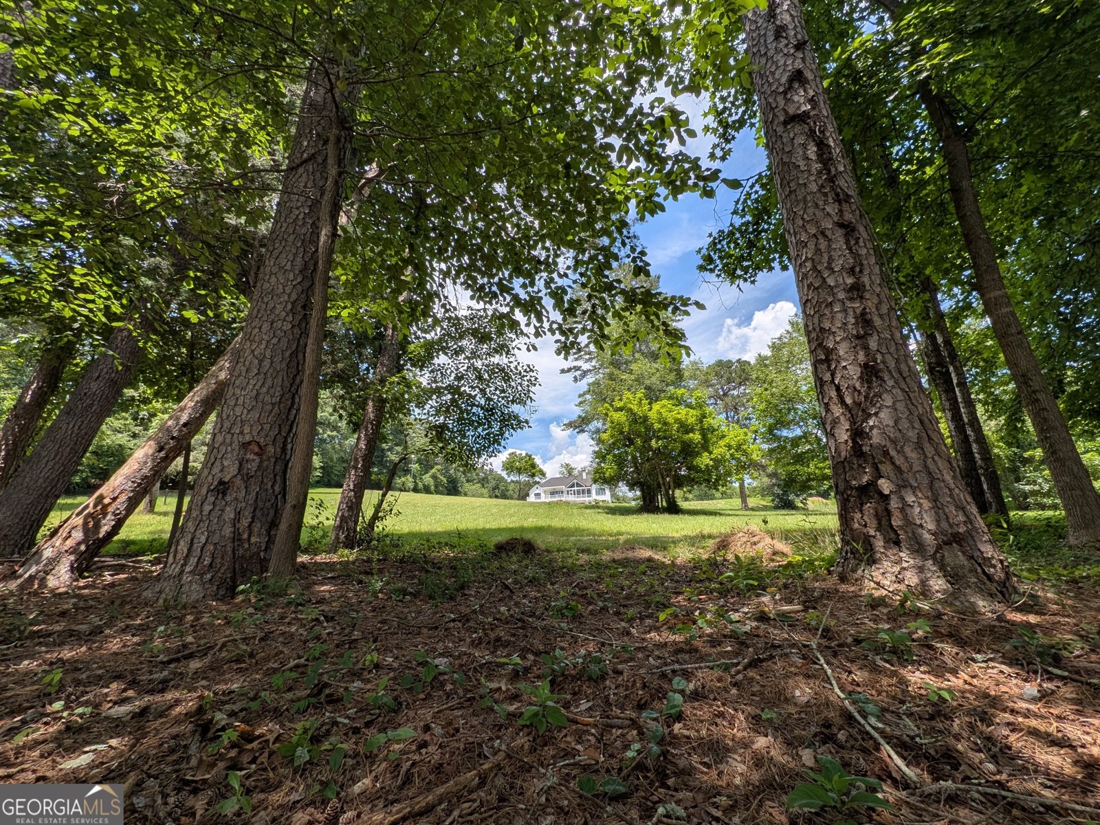 5651 Old Wilkie Road Gainesville - 96