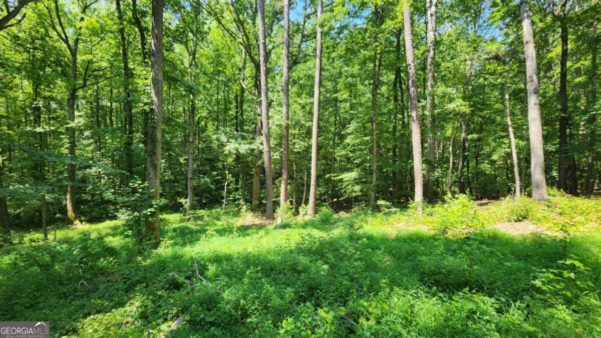 134 Cicero Trail Dawsonville - 1