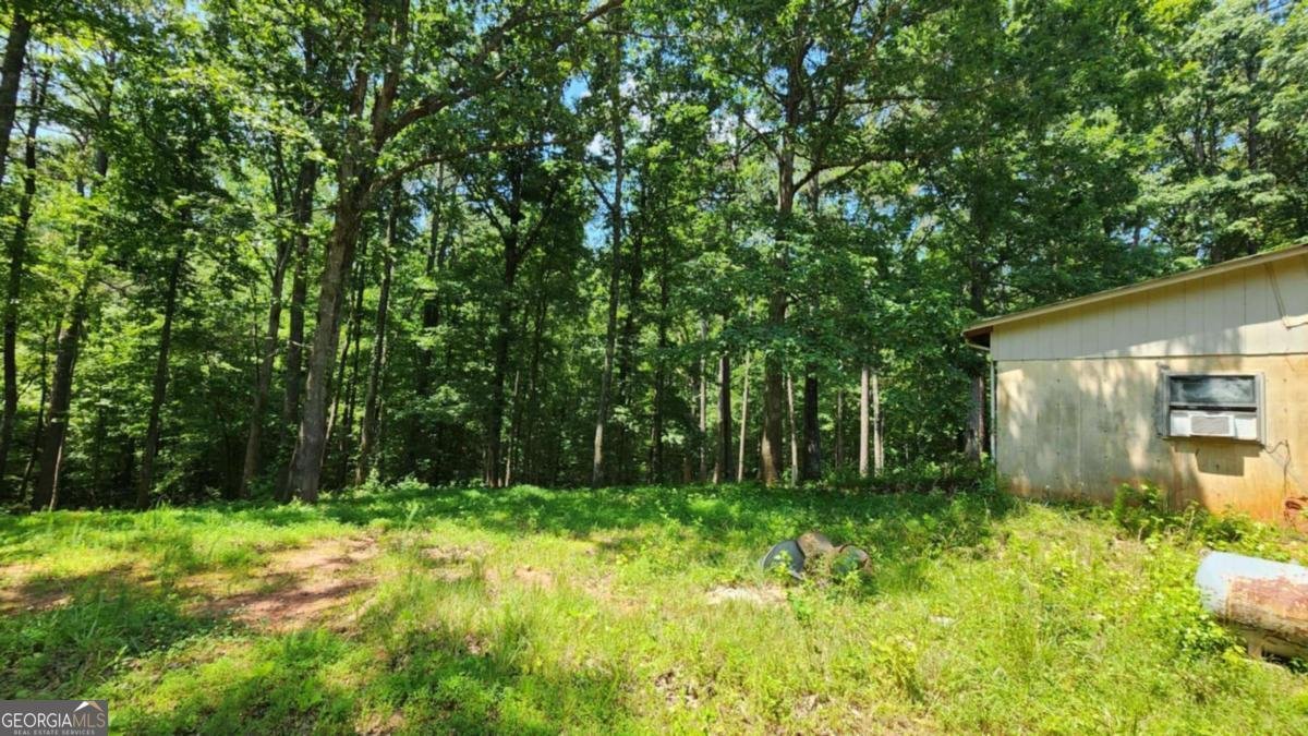 134 Cicero Trail Dawsonville - 15